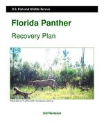 [2008] Florida panther recovery plan (Puma concolor coryi)